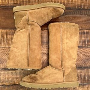 Ugg Chestnut Tall Boot